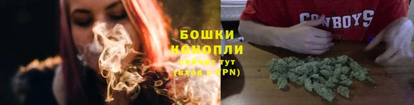 эйфоретик Богданович
