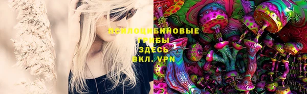 мдма Белокуриха