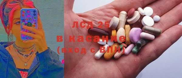 эйфоретик Богданович