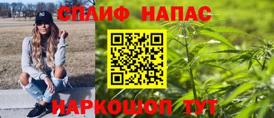 сатива Ирбит