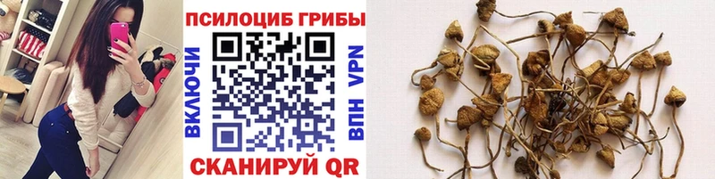 omg   Кузнецк  Галлюциногенные грибы мицелий 