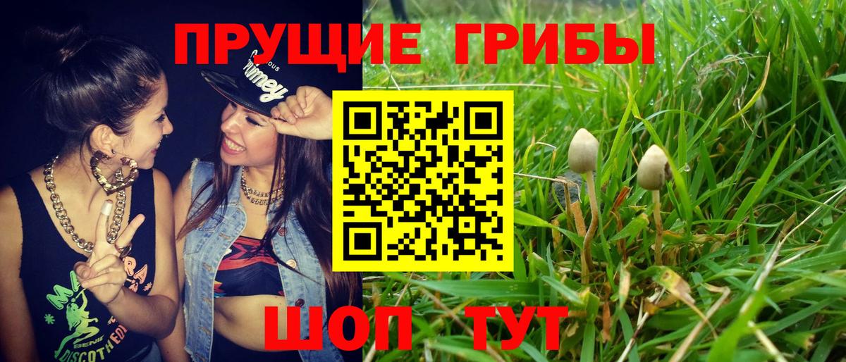 Псилоцибиновые грибы мухоморы  Галлюциногенные грибы мухоморы  Кузнецк  Вход с VPN 